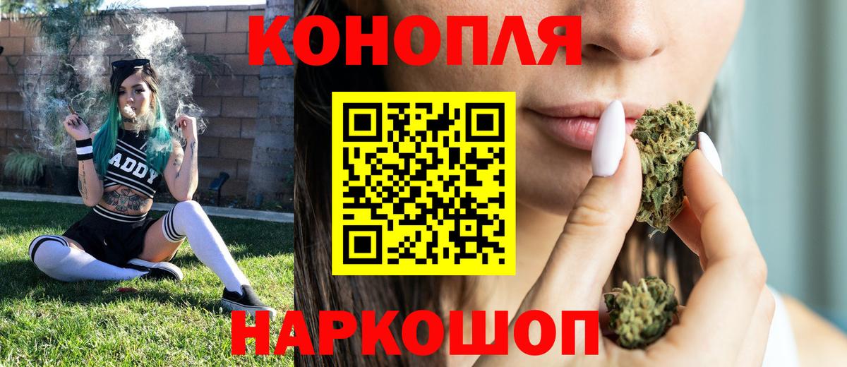 Кудрово  Конопля MAZAR  Конопля конопля  Бошки Шишки THC 21%  Вход с VPN 